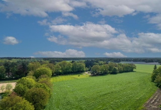 Champs verts et arbres sous un ciel bleu avec des nuages au Holiday Park Latour 6 aux Pays-Bas.