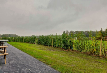 Terras en gazon bij Holiday Park «Latour 8» in Nederland met hagen en een bewolkte lucht erboven.