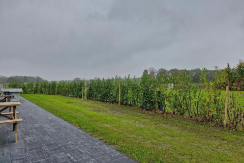 Udsigt over en terrasse og græsplæne ved Holiday Park «Latour 8» i Nederlandene på en overskyet dag.