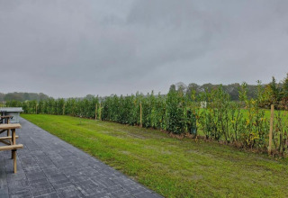 Patio and lawn area at Holiday Park «Latour 8» in the Netherlands, with hedges and a cloudy sky above.