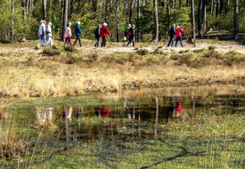 Een groep mensen wandelt in het bos langs een vijver bij een glamping-accommodatie in de natuur.