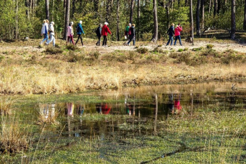 Eine Gruppe Menschen wandert durch den Wald, mit Spiegelungen im Teich, bei einer Glamping-Unterkunft.