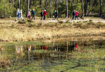 Un grupo de personas camina por el bosque junto a un estanque, disfrutando la naturaleza en un glamping.