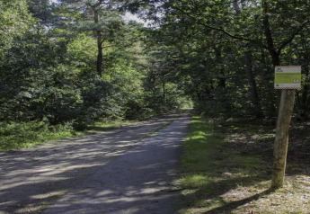 Waldweg mit einem Hinweisschild an einem Holzpfosten nahe einer Lodge, umgeben von Bäumen im Sommer.