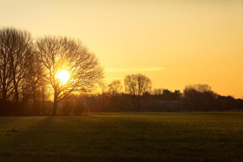 Sonnenuntergang hinter kahlen Bäumen auf einer grünen Wiese bei einer Glamping-Unterkunft, ruhige Atmosphäre.