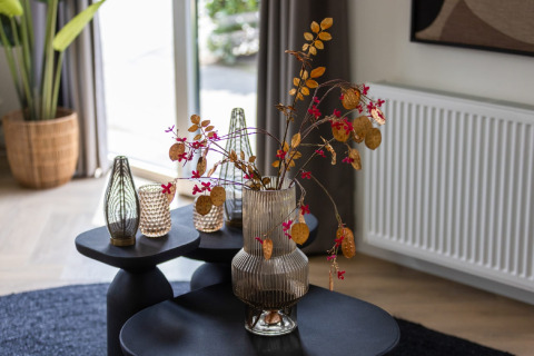 Stijlvolle glazen vaas met droogbloemen op zwarte tafels in Holiday Park Latour 8, Nederland.