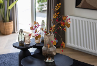 Elegant glasvase med tørrede blomster på moderne sorte borde i hyggelig stue, Holiday Park Latour 8.