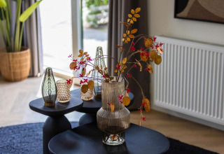 Elegant vase med tørrede blomster og tre dekorative glasvaser på sorte borde i stueområde ved Holiday Park Latour 8.