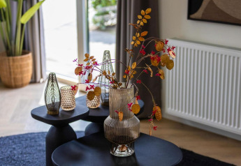 Modern decor in a lounge at Holiday Park Latour 8, Netherlands, featuring a vase with dried flowers and glass vases.