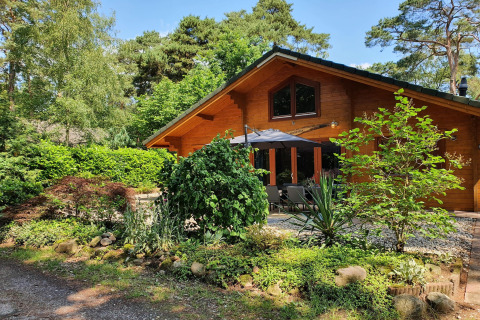 Lujosa villa forestal Casa Madeira para 6 personas en los Países Bajos, rodeada de vegetación verde.
