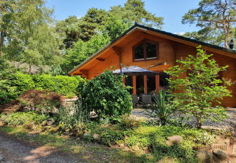 Lujosa villa forestal Casa Madeira para 6 personas en los Países Bajos, rodeada de vegetación verde.
