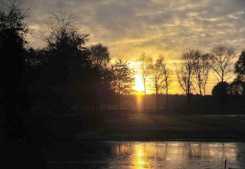 Sunset over a peaceful glamping site with silhouetted trees and warm sunlight reflecting on a calm pond.