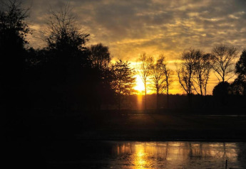 Solnedgang over et roligt naturspot med silhuetter af træer og refleksioner i vandet ved et glampingsted.