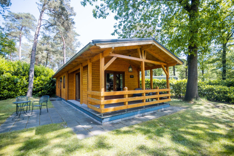 Træhytte i skoven med terrasse og siddeområde, 2-personers wellness lodge i Holland en solrig dag.