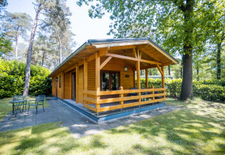 Træhytte i skoven med terrasse og siddeområde, 2-personers wellness lodge i Holland en solrig dag.