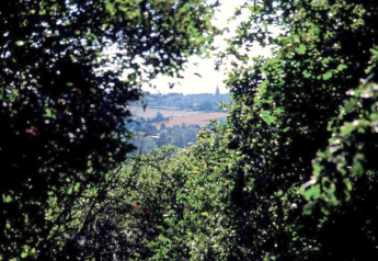 View through leafy trees to a distant village and church, taken from a glamping accommodation in nature.