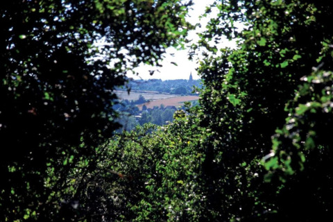 Vista a través de los árboles hacia un pueblo y una iglesia lejana, tomada desde un alojamiento glamping.