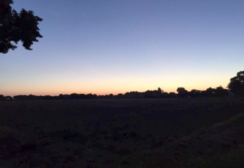 Zonsondergang boven een glampingaccommodatie met silhouetten van bomen en natuur in een rustige sfeer.