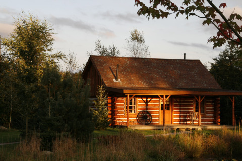 Sunlit American Log Cabin chalet in the Netherlands, surrounded by trees and nature in the afternoon light