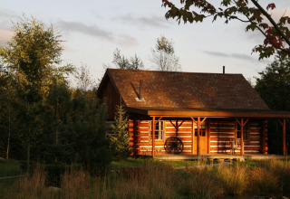 Sunlit American Log Cabin chalet in the Netherlands, surrounded by trees and nature in the afternoon light