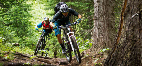 Twee mountainbikers fietsen door een dicht bosrijk pad in Antwerpen, België, nabij Camping Siësta.
