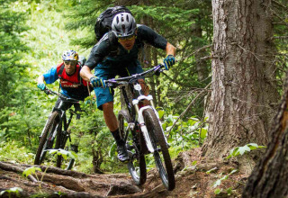 Mountain biking - Camping Siësta - Vodatent - Wechelderzande, Antwerp, Belgium