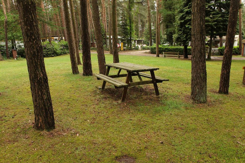 Table de pique-nique - Camping Siësta - Vodatent - Wechelderzande, Anvers, Belgique