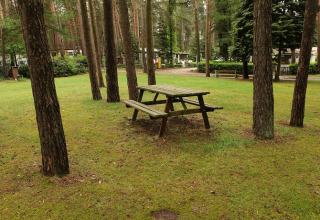 Table de pique-nique - Camping Siësta - Vodatent - Wechelderzande, Anvers, Belgique