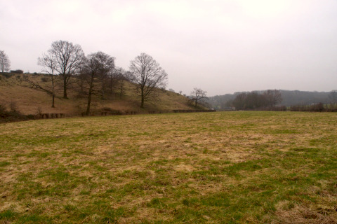 Uitzicht op een grasveld met verspreide bomen bij een lodge op een bewolkte dag, heuvels op de achtergrond.