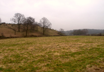 Vue d’un champ d’herbe avec des arbres clairsemés près d’un lodge, un jour nuageux, collines au fond.