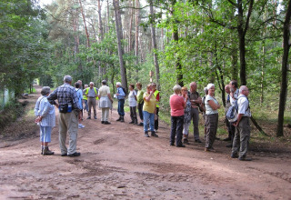 Campeggio a piedi - Camping Siësta - Vodatent - Wechelderzande, Anversa, Belgio