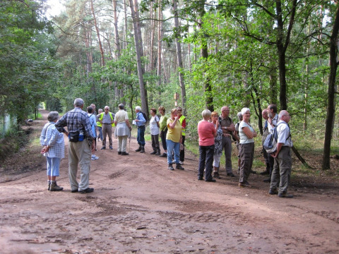 Walk camping - Camping Siësta - Vodatent - Wechelderzande, Antwerp, Belgium