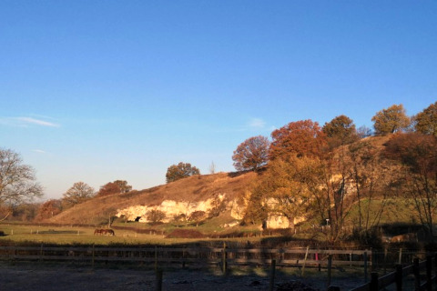 Landschapsfoto gemaakt bij een lodge met glooiende heuvels, herfstbomen, grazende paarden en blauwe lucht.
