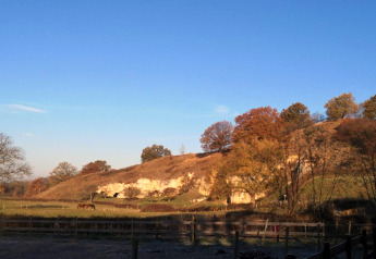 Photo prise depuis un lodge avec collines, arbres d’automne, des chevaux dans un pré et ciel bleu dégagé.