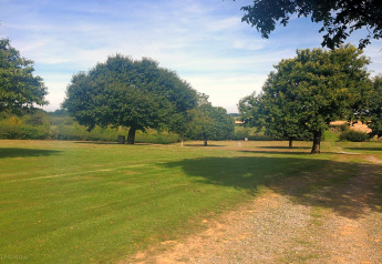 Rustig grasveld bij een lodge met verspreide bomen, groen gazon en heldere blauwe lucht erboven.