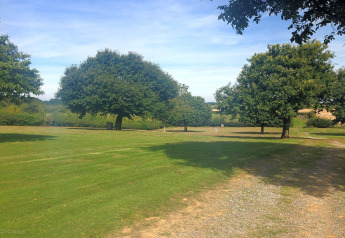 A tranquil lodge landscape with open grassy lawns, scattered trees, and clear blue sky in daylight.