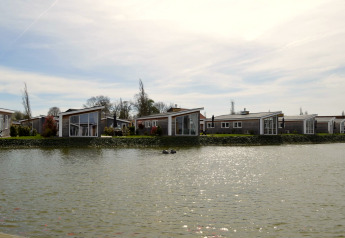 Moderne lodges aan het water bij Biebosch Sunshower in Nederland, met grote ramen en rustgevend uitzicht.