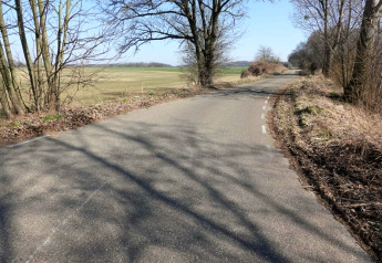 Bochtige landweg bij Biebosch Lodge in Nederland, omringd door kale bomen en open velden in het voorjaar.