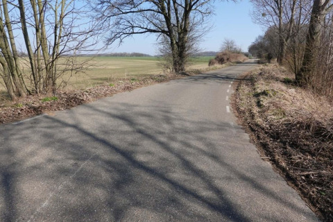 Strada di campagna tortuosa presso Biebosch Lodge nei Paesi Bassi, tra alberi spogli e campi aperti primaverili.