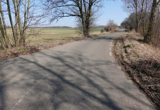 Strada di campagna tortuosa presso Biebosch Lodge nei Paesi Bassi, tra alberi spogli e campi aperti primaverili.