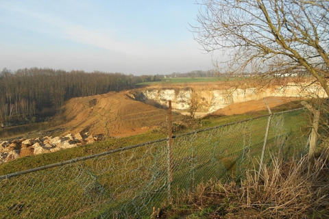 Vista di un paesaggio brullo con frana, recinzione verde e albero presso Biebosch Sunshower nei Paesi Bassi.