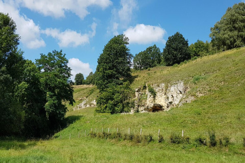Vista sul lodge Biebosch Sunshower nei Paesi Bassi con prati, alberi e una grotta nella roccia.