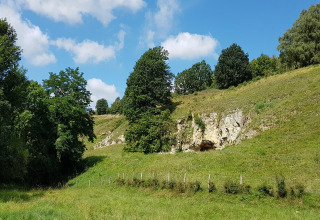 Vista sul lodge Biebosch Sunshower nei Paesi Bassi con prati, alberi e una grotta nella roccia.