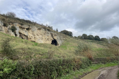 Collina con ingresso di grotta e arbusti verdi, fotografata al lodge 'Biebosch' Sunshower nei Paesi Bassi.