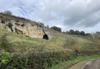 Collina con ingresso di grotta e arbusti verdi, fotografata al lodge 'Biebosch' Sunshower nei Paesi Bassi.
