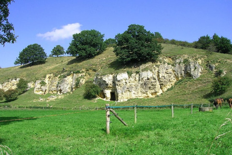 Vista di prato verde con grotta e alberi presso il lodge Biebosch Sunshower nei Paesi Bassi in una giornata di sole.