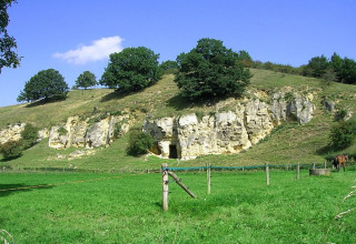 Vista di prato verde con grotta e alberi presso il lodge Biebosch Sunshower nei Paesi Bassi in una giornata di sole.