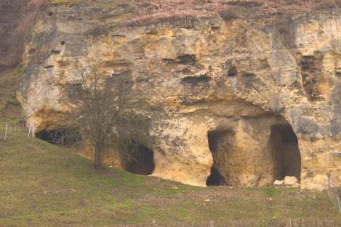 Grotte naturali e aperture rocciose presso la lodge «Biebosch» Sunshower nei Paesi Bassi.