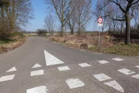 Incrocio vicino al lodge Biebosch nei Paesi Bassi con segnaletica stradale e cartello limite di velocità al sole.