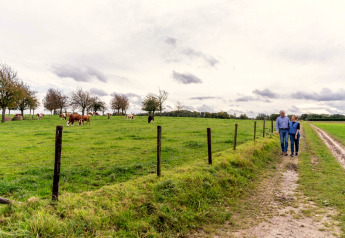 Een ouder echtpaar wandelt op een pad langs een weiland met koeien bij Biebosch Sunshower Lodge in Nederland.